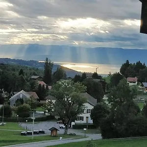 https://balcony-of-lake-geneva.hotels-rhonealpes.com